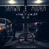 Wish I Could - Shawn&Audra