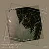 Stardust (Original Mix) - Van Morph