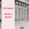 Mesut Nesse - DJ Lignin