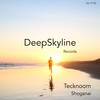 Shoganai (Original Mix) - Tecknoom