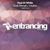 Great Strength (Radio Edit) - Paul Di White