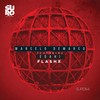 Flashx (Vocal Mix) - Marcelo Demarco&Edahi