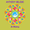 In History (Tony Future Remix) - Anthony Melodic&Tony Future