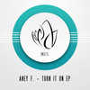 Turn It On (Original Mix) - Aney F.