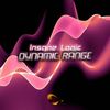 Dynamic Range (Original Mix) - Insane Logic&Scoop