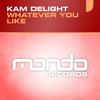 Whatever You Like (Original Mix) - Kam Delight