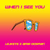 When I See You - LEJKEYS&Amir Oosman&Amber Navran