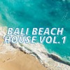 The Hold House (Mercier J Mix) - Steven Mercier