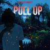 PULL UP(feat. Twinzel) (Explicit) - OB RECORDS&Twinzel