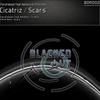 Scars (Original Mix) - Chris Voro