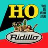 Ho(Voce del verbo avere) (Bengi Halftones Dub Remix) - Ridillo
