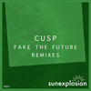 Fake the Future (Pleasure Transfer Edit) - cusp