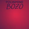 Polyamine Bozo - Dima Vanz