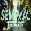 Seminal (Jersey Club Remix|Explicit) - Branden Gasilos