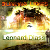 Blinding Lights - Leonard Diass