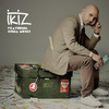 Insanely (feat. China Moses) (Album Version) - ikiz&China Moses&Magnus Lindgren&Rachel Claudio&Robert Ikiz