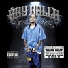 All On a Hoe (Explicit) - Sky Balla&Harm