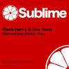 Something About You (Edit) - Flash Harry&Ivor Semi