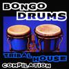 Congos - Pole Pole&AFROCALYPSO&Georgia & Louise Mangos