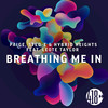 Breathing Me In - Paige&Hybrid Heights&StedE&Leote Taylor