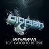 Too Good To Be True (Original Mix) - Jan Waterman