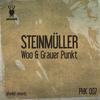 Grauer Punkt - Steinmueller