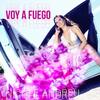 Voy a Fuego(feat. Chalice Beatz) - Nicole Andreu&Chalice Beatz