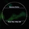 Feel The Vibe (Original Mix) - Roman Reiss