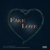 Fake Love (Explicit) - Blunt