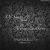 Tranquillity (Original Mix) - Dj Skan&Alesya Luchkova
