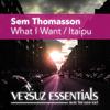 What I Want - Sem Thomasson