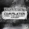 Roast Sun (Original Mix) - Anomaliya