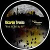 Enjoy The Nigth (Original Mix) - Ricardo Trueba