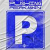 Pushing Perkashin - W4DE&TNK MusiQ