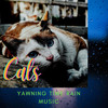 Kittens Placid Music - Relaxing Classical Music&Cat Music Relaxation&Dog Music Radio