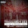 13 in a Prison Cell (Explicit) - Triggaboy Dee