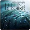 My Heart - Dj Kobr@