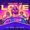 What Is Love - TCM&Orphius&Max Stealth