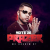 Noite de Prazer - Mc Brunim Dt&Dj P Souza