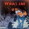 what im on (Explicit) - SmileyThaGreat