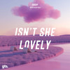 Isn't She Lovely - Shoby&Allen Folk