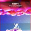 Tibetian Pasture (Stan Seba Remix) - Gibbon&Stan Seba