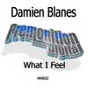 What I Feel (Original Mix) - Damien Blanes