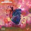 Autotunes &HeartBreaks (Explicit) - King Shabazzz&Jay Money