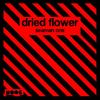 Seaman One - Dried Flower