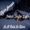 Is It Cold in Here(Tribute to Joe Diffie) - Tyler Joseph