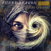 Culture Unlimited (Original Mix) - Funky Dragon