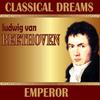 V. Allegretto - Symphonic Orchestra