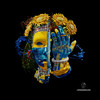 Origin - ARTBAT&Shall Ocin&braev