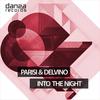 In To The Night (Original Mix) - Parisi&Delvino